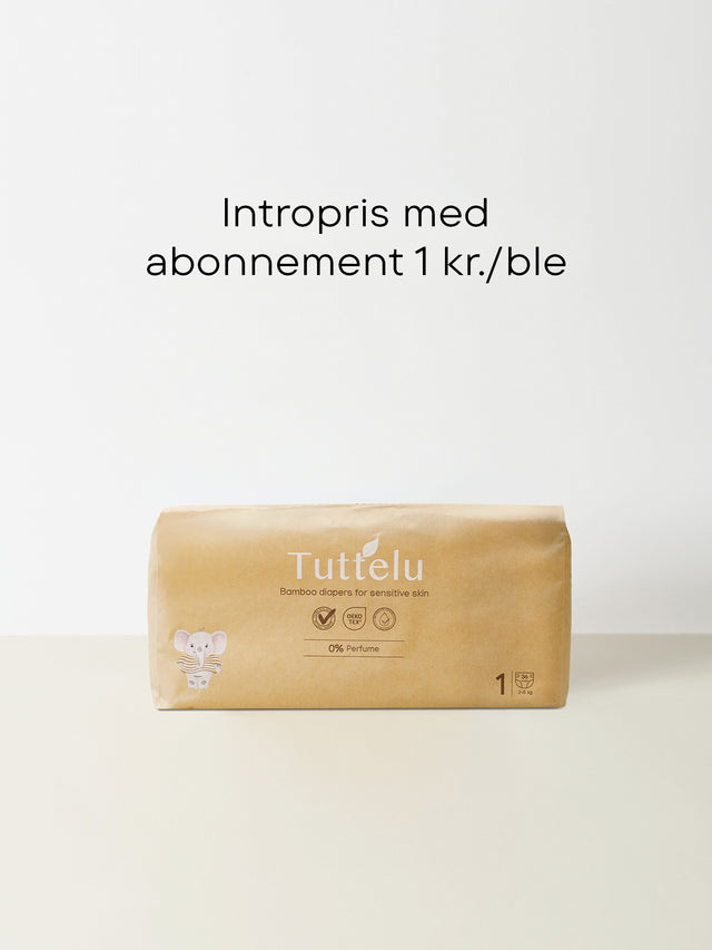 Str. 1 Bambus bleer 2-5kg / 36 Stk