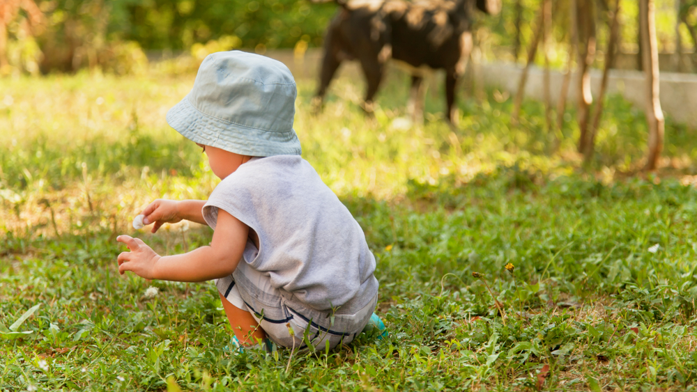 Diaper bag guide: Here's everything you need to remember on the go