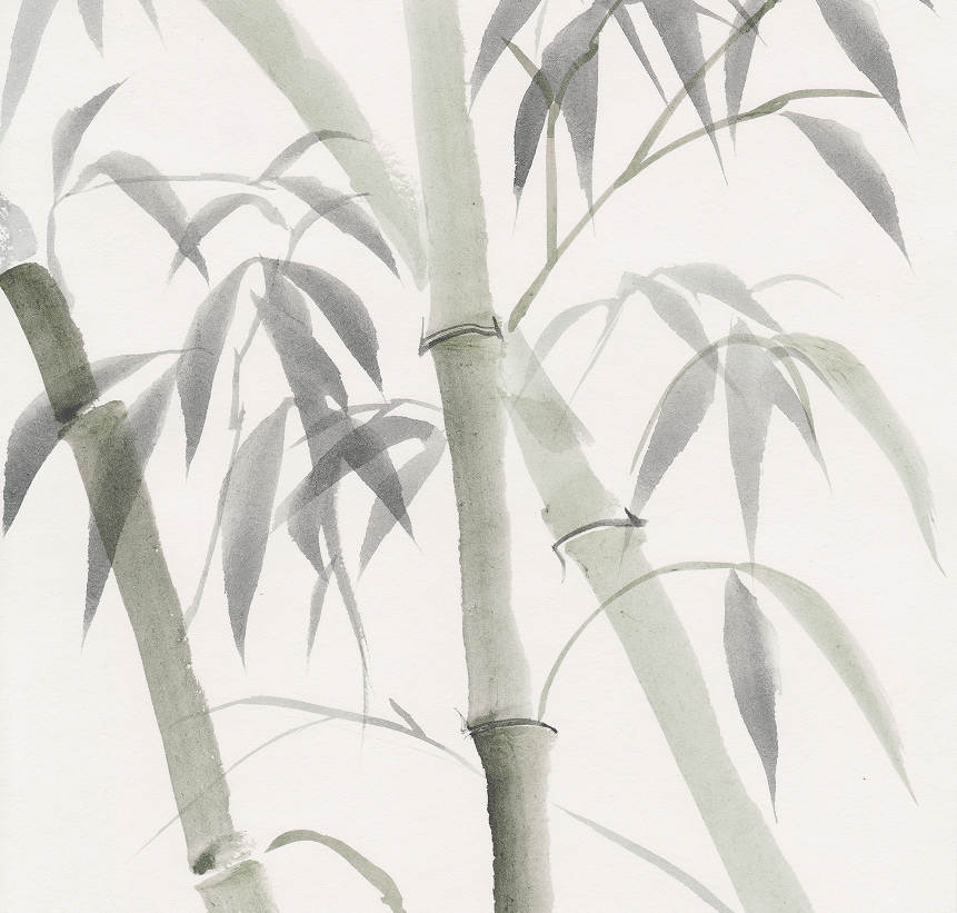 DERFOR SKAL DU VÆLGE BAMBUS