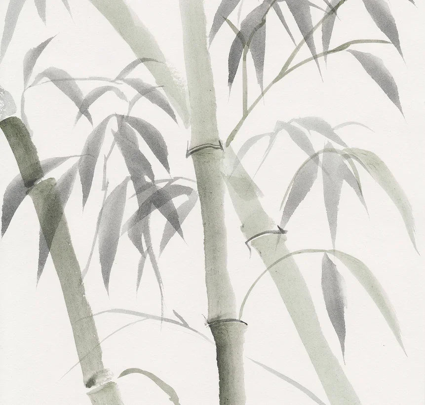 Bamboo Preview