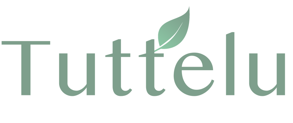 Secondary logo